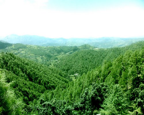 Green himachal