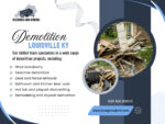 Demolition Louisville KY.jpg