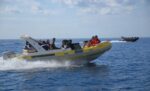 Rib-Baracuda-2329.jpg