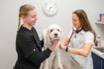 Edina veterinarian, vet near me, Southdale vet, Minneapolis animal hospital, pet hospital Edina MN, Veterinarian in Edina (2).jpeg
